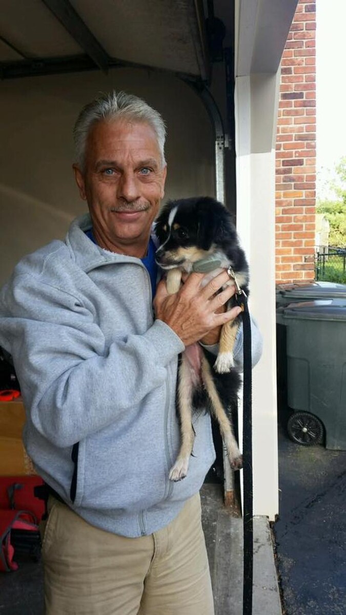 Images Pet Stop of WNY