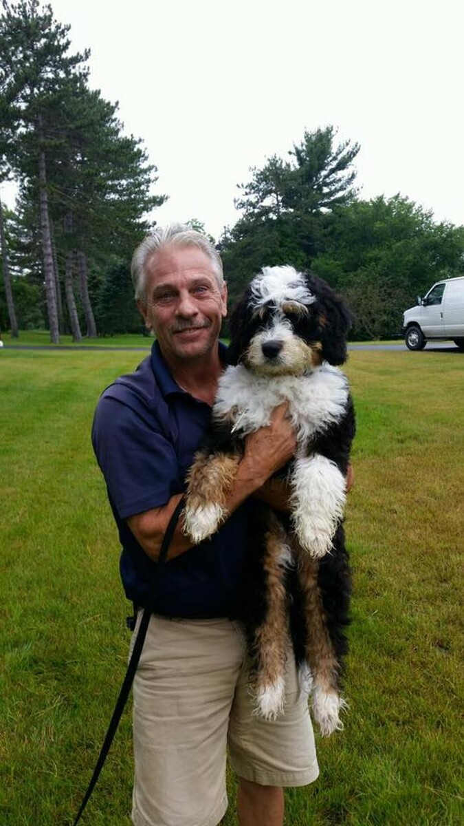 Images Pet Stop of WNY