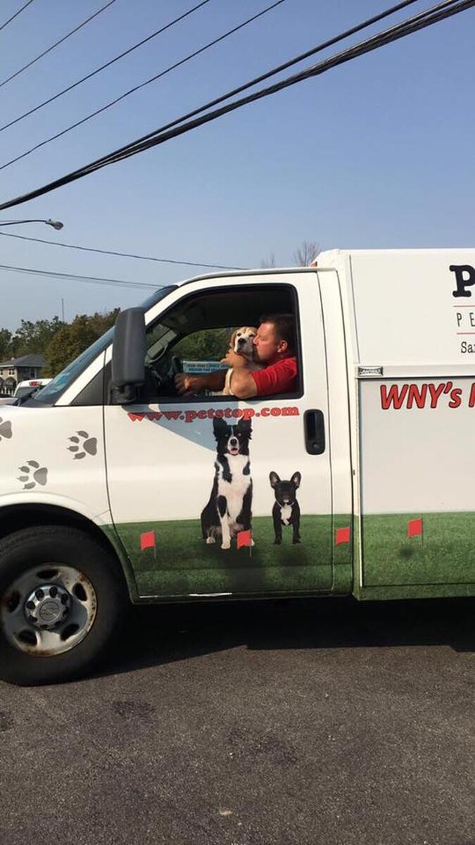 Images Pet Stop of WNY