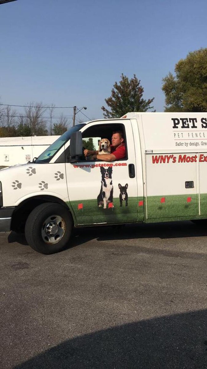 Images Pet Stop of WNY