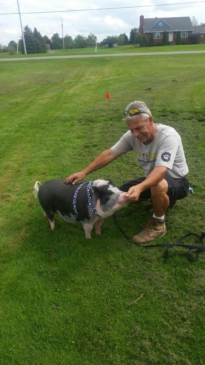 Images Pet Stop of WNY