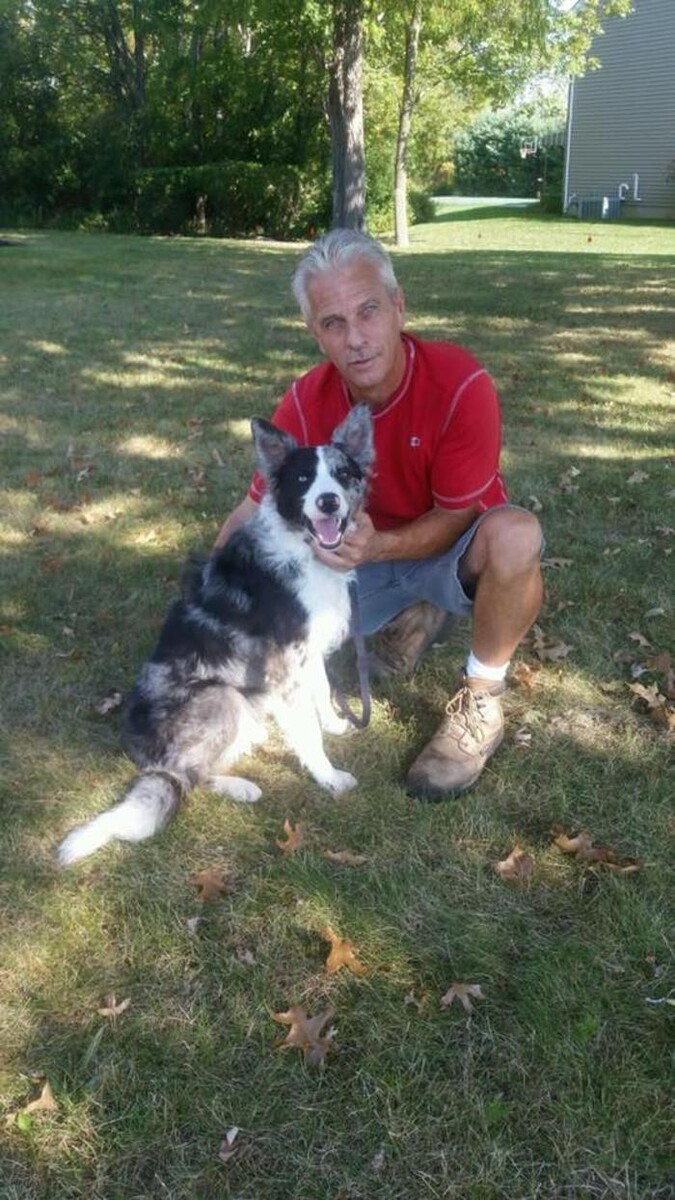 Images Pet Stop of WNY