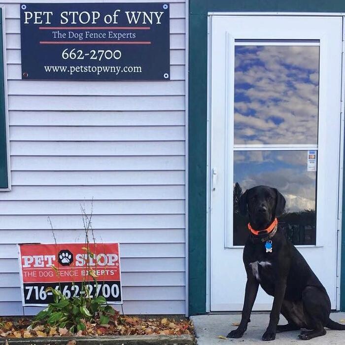 Images Pet Stop of WNY