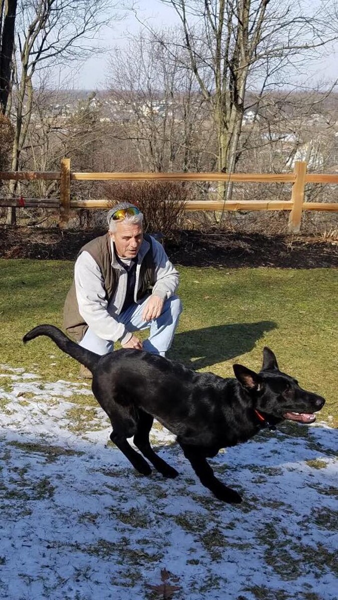 Images Pet Stop of WNY