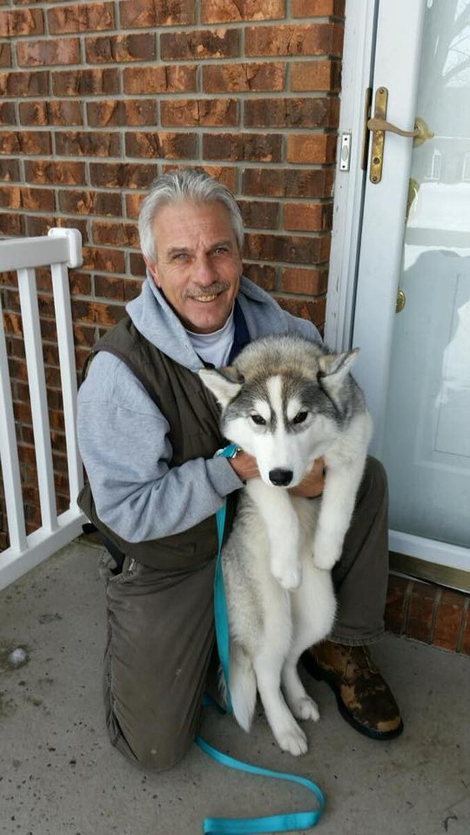 Images Pet Stop of WNY