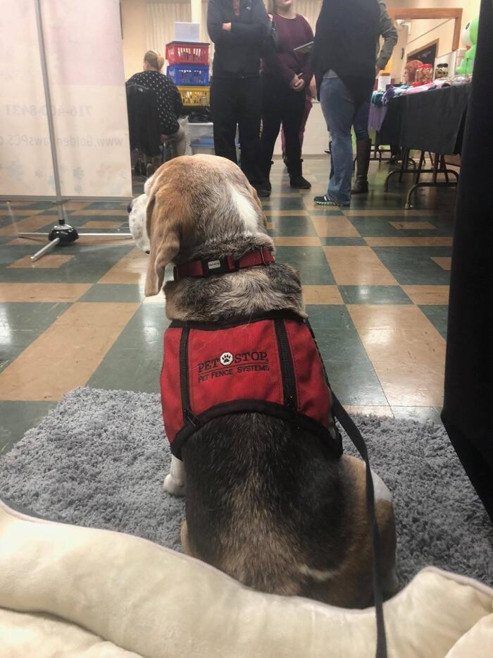 Images Pet Stop of WNY