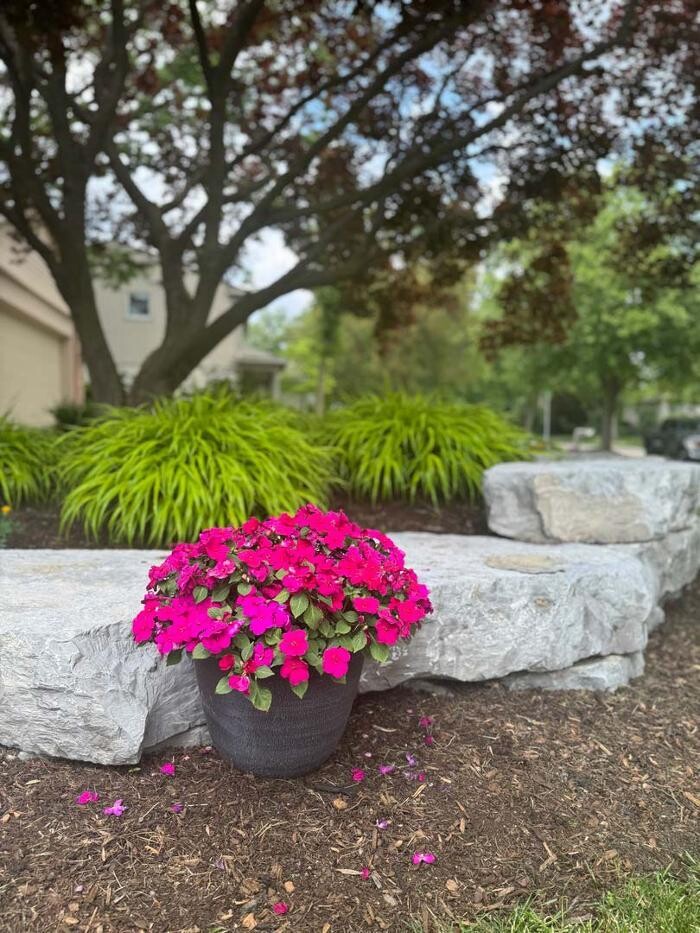 Images Wasmer Brothers Landscaping