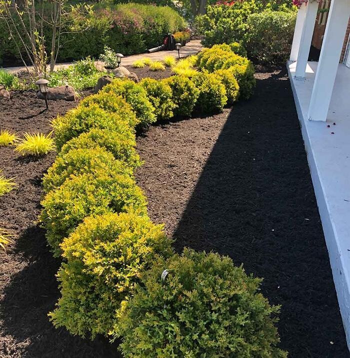 Images Wasmer Brothers Landscaping