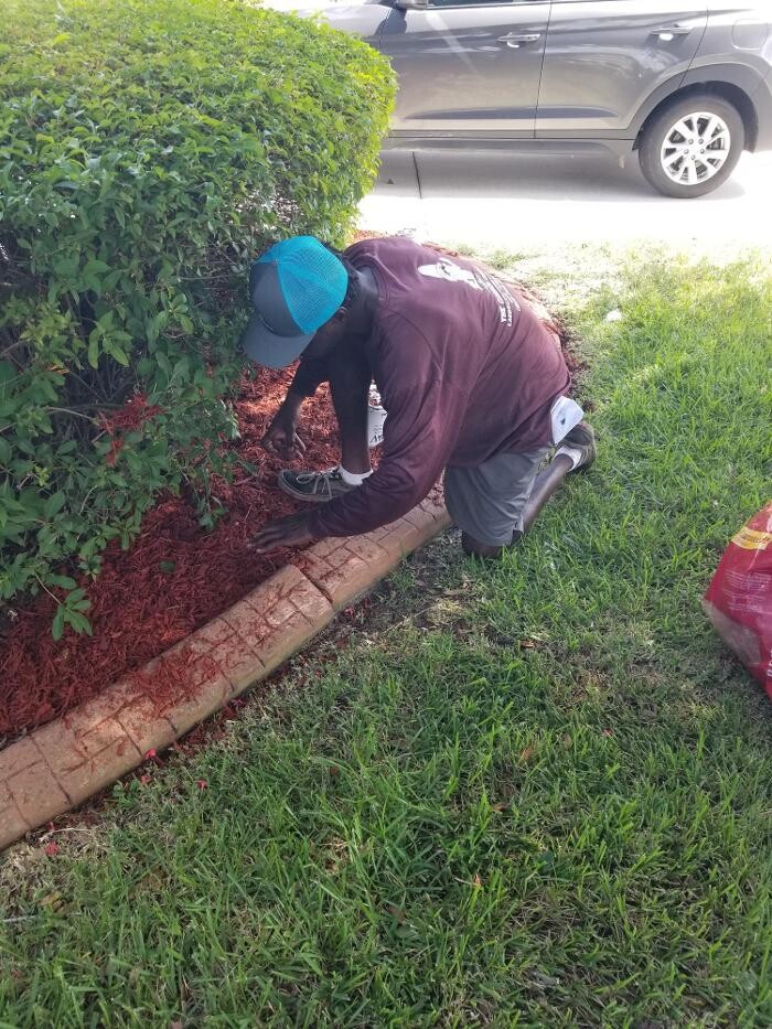 Images The Garden Gnome Landscaping