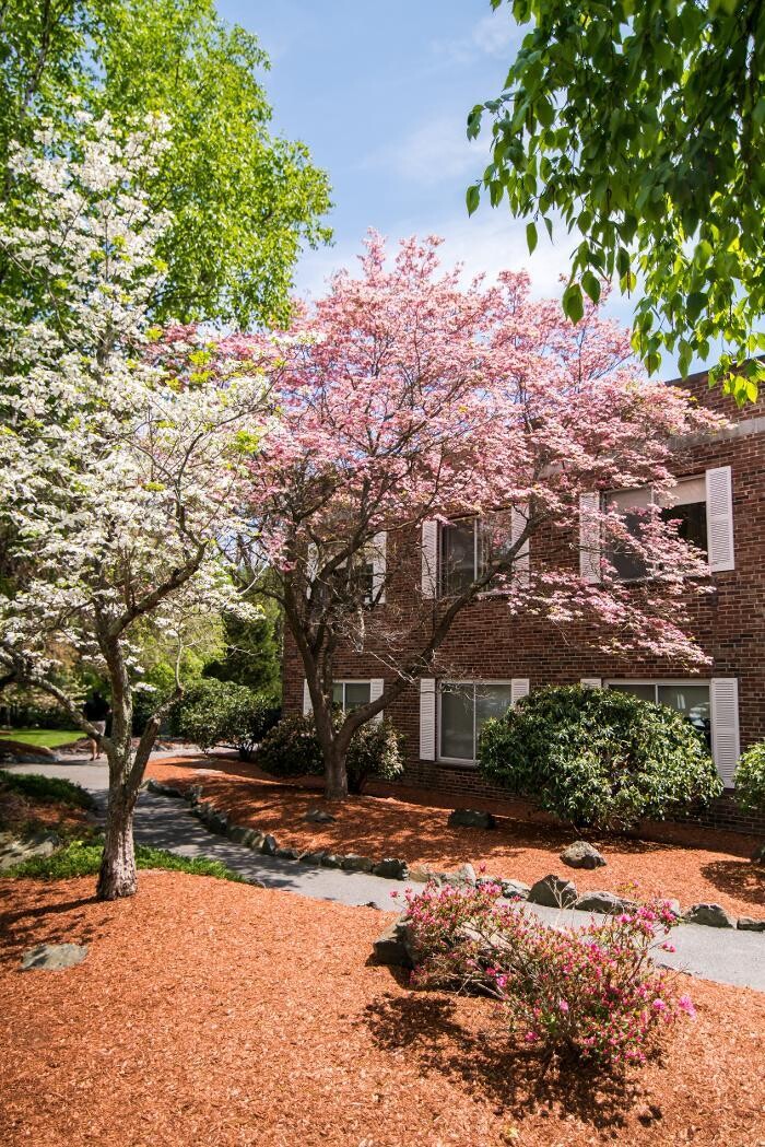 Images CareOne at Lexington