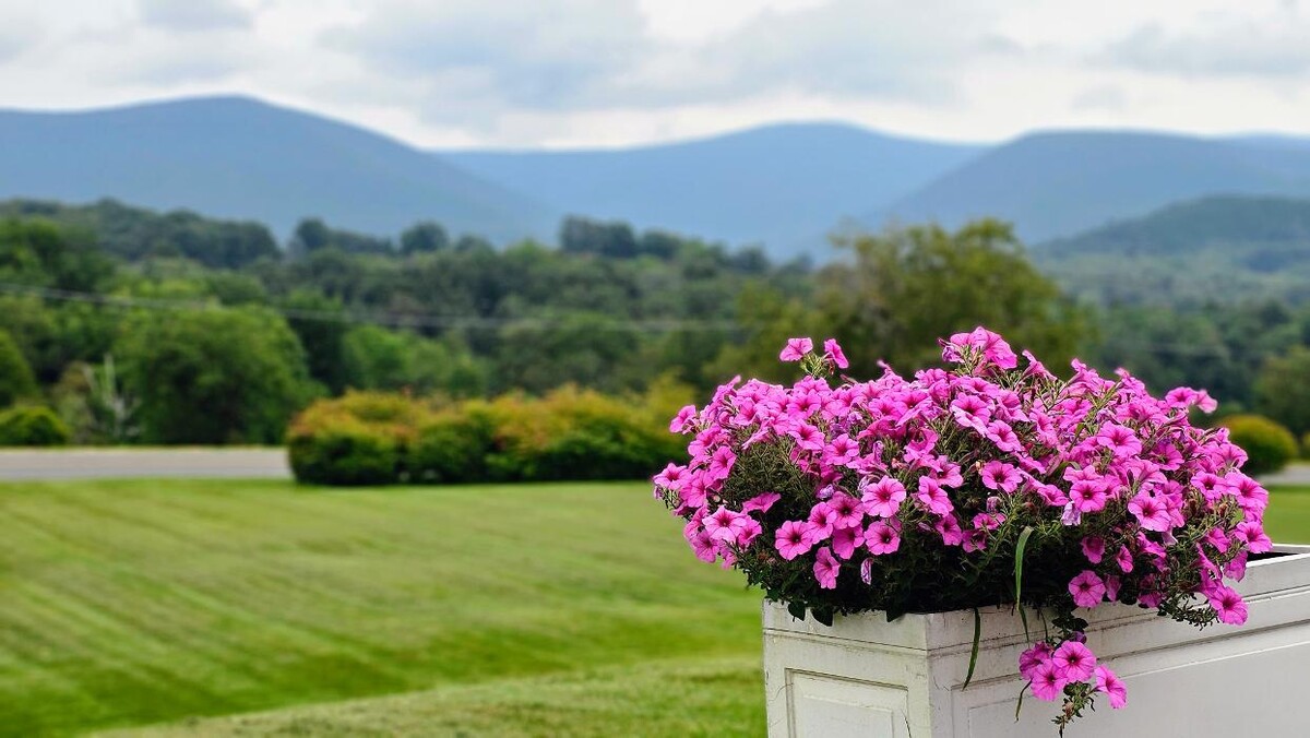 Images Sweetwood of Williamstown