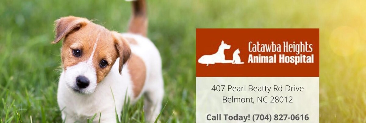 Images Catawba Heights Animal Hospital