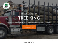 Screenshot for http://www.treekingofli.com/