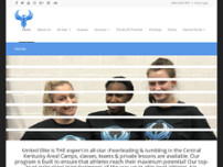 Screenshot for http://uerise.com/