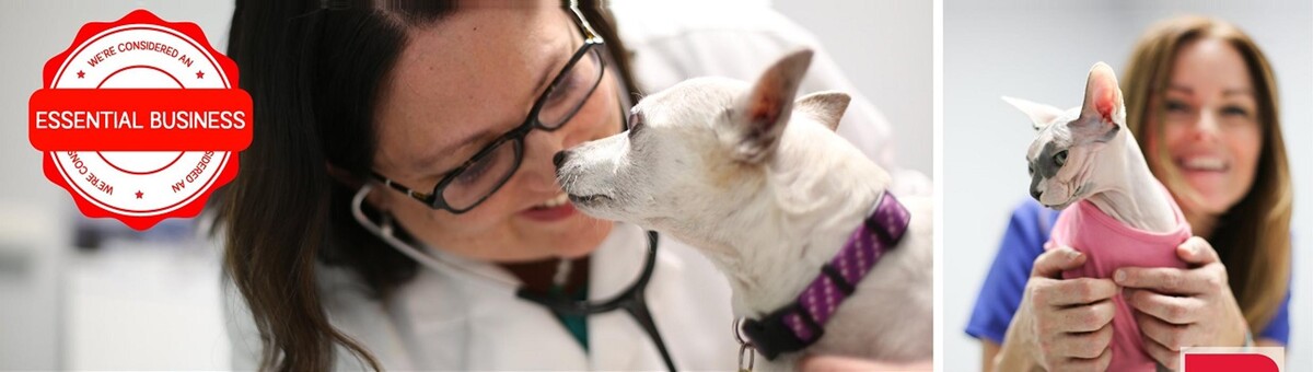Images Animal Medical Clinic of Gulf Gate