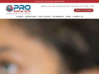 Pro Martial Arts Marietta and East Cobb website screenshot