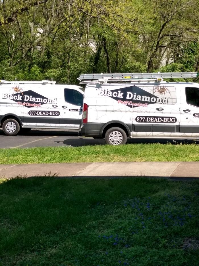 Images Black Diamond Pest Control - Nashville