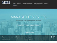 Screenshot for http://www.vitsusa.com/