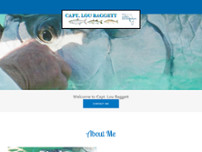 Captain Lou Baggett website screenshot