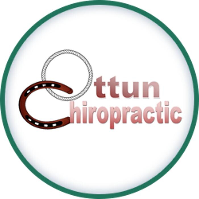 Ottun Chiropractic PC Logo