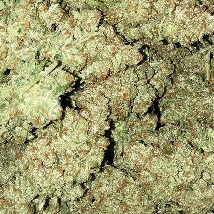 Images The Superior Dispensary