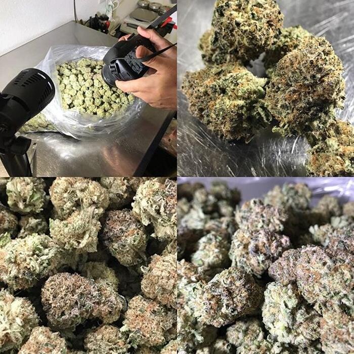 Images The Superior Dispensary