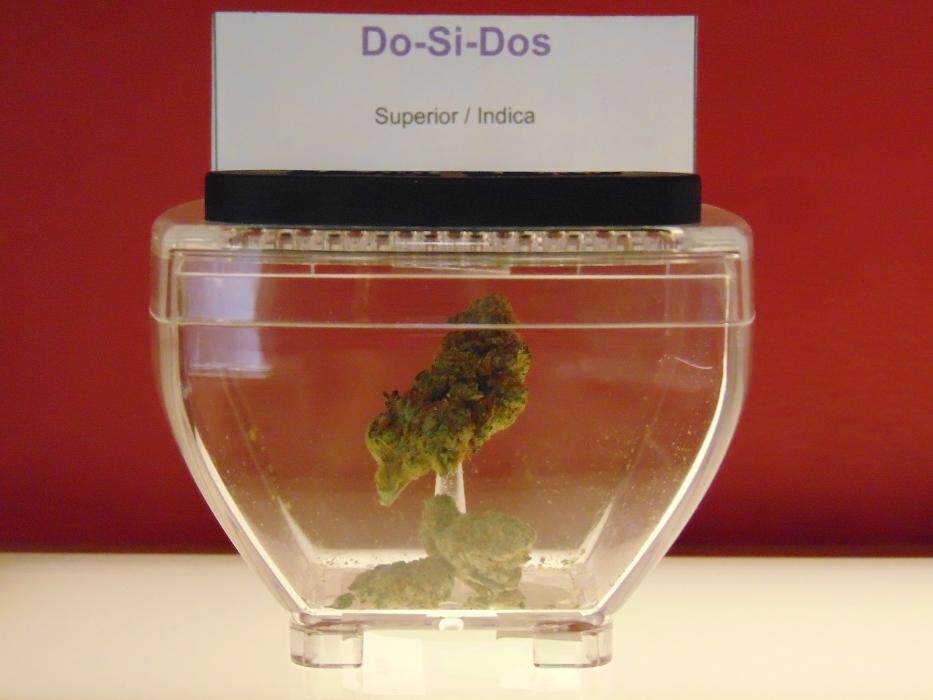 Images The Superior Dispensary