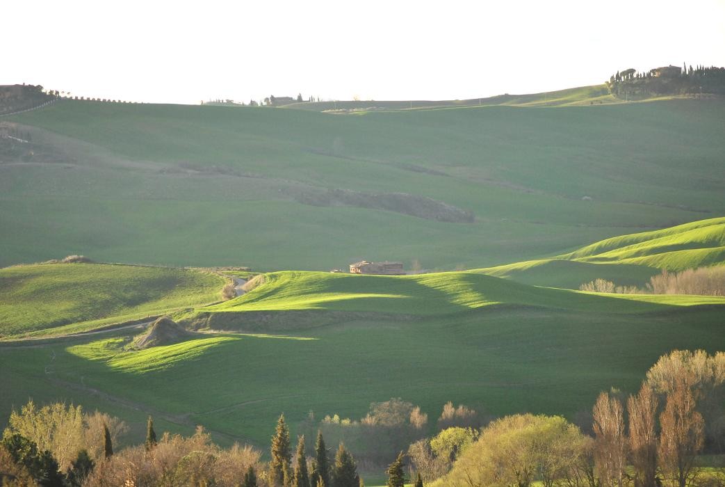 Images Cook in Tuscany