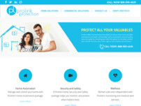 Prolink Protection website screenshot