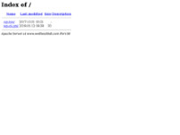 Screenshot for http://www.wellhealthdt.com