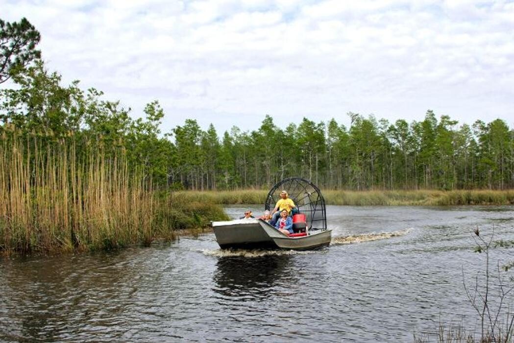 Images Gulf Coast Gator Ranch & Tours