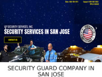 Screenshot for http://www.vpsecurityservices.com