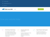 Screenshot for https://bluelacyseo.com/