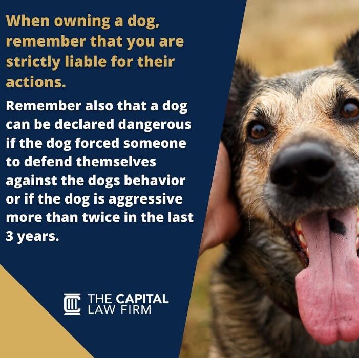 Images The Capital Law Firm