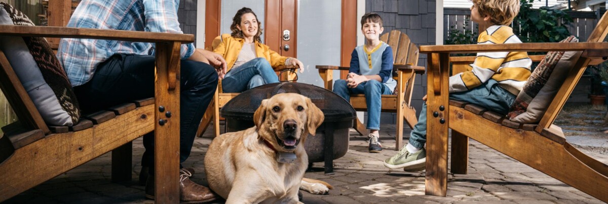 Images Wisconsin Dog Guard