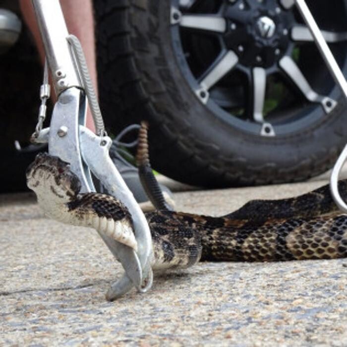 Images Total Animal Control