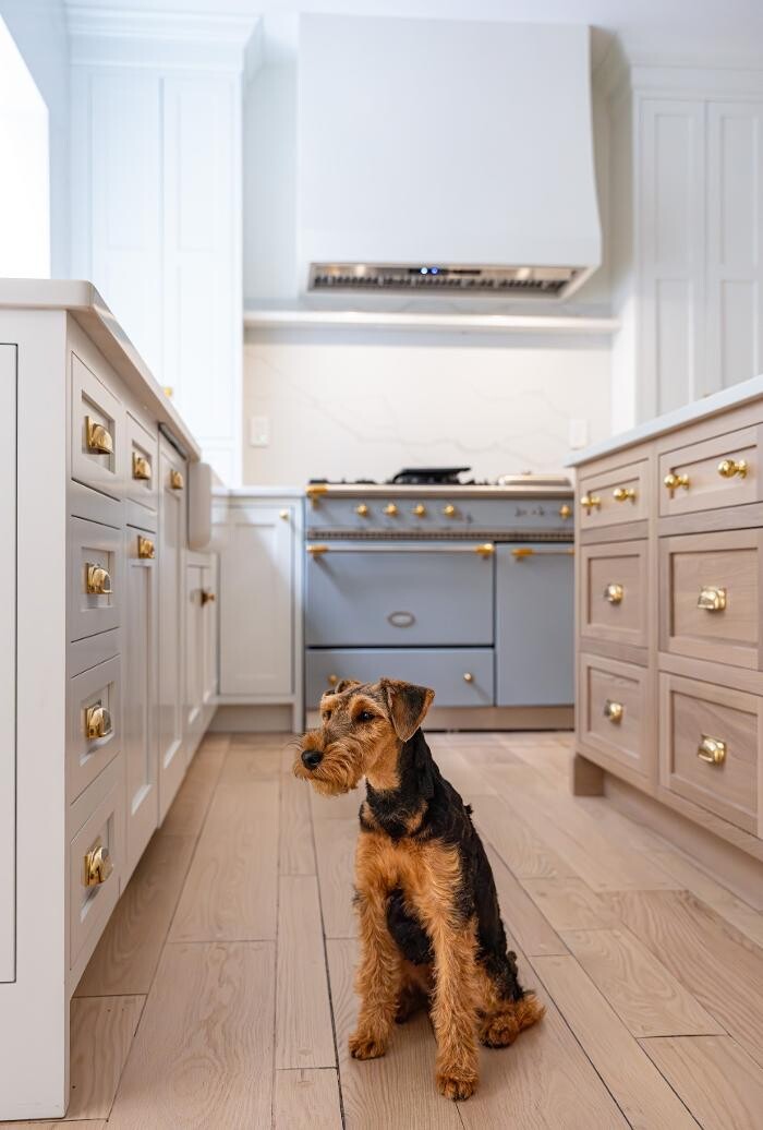 Images Boss Design Center