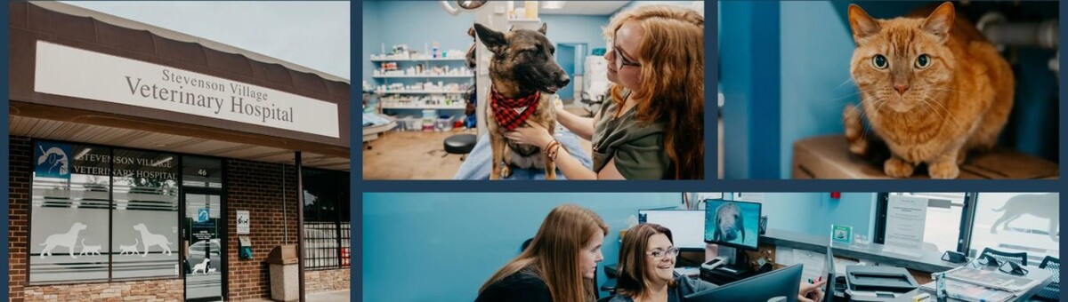 Images Stevenson Village Veterinary Hospital
