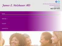 Screenshot for http://www.holzhauermsd.com