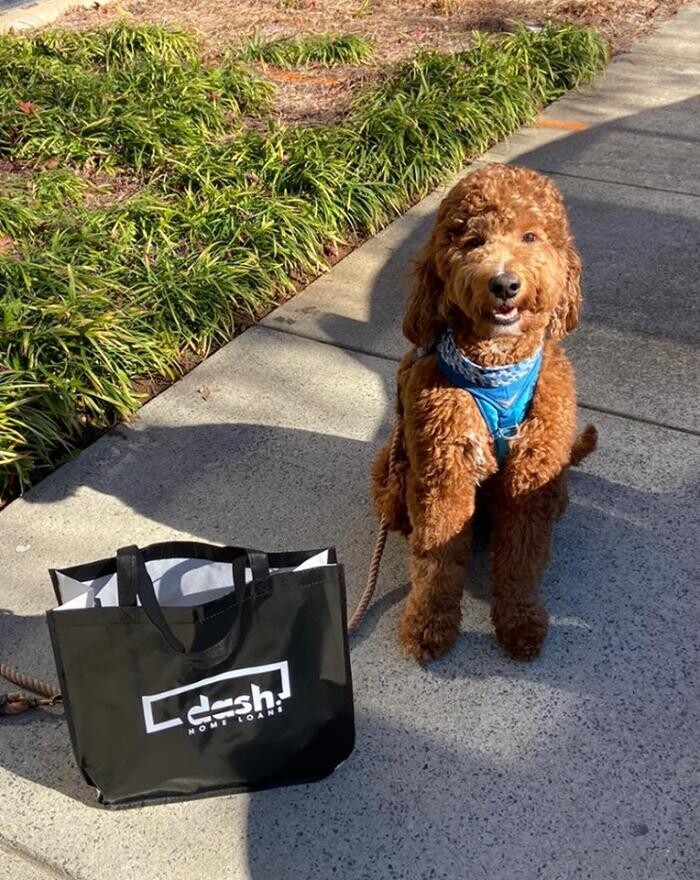 Images Dash Home Loans