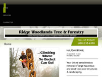 Prahl Halfdan Arborist website screenshot