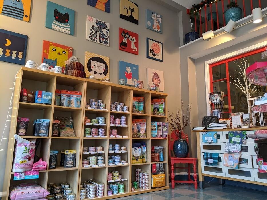 Images 9 Lives Holistic