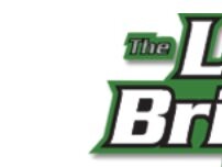 Website Screenshot Lawn Brigade