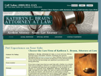 Kathryn L. Braun Attorney At Law website screenshot