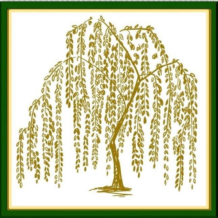 Images Willowcreek Academy