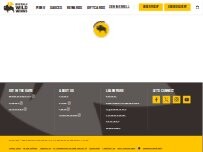 Website Screenshot Buffalo Wild Wings
