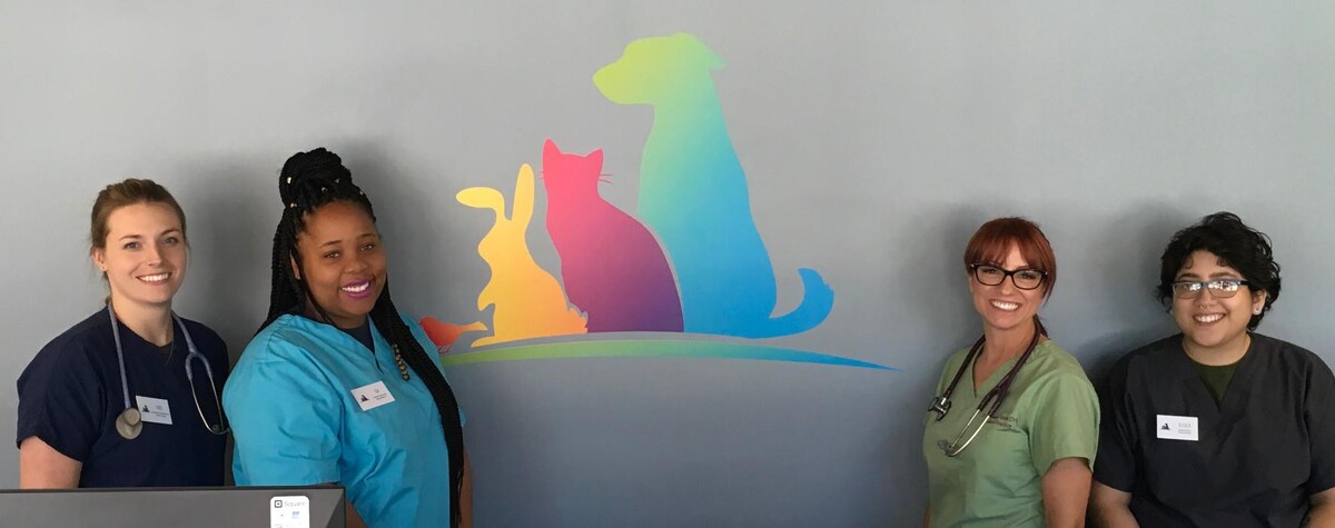 Images Urban Veterinary Associates