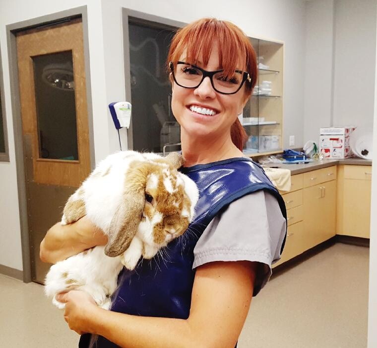 Images Urban Veterinary Associates