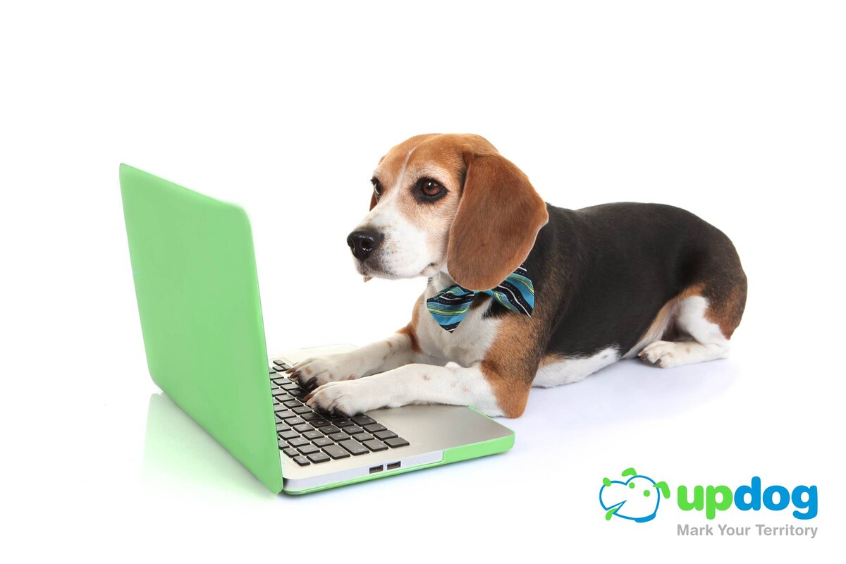 Images UpDog®