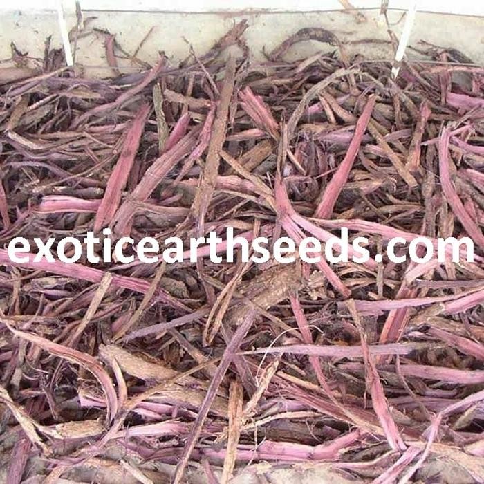 Images exotic earth seeds